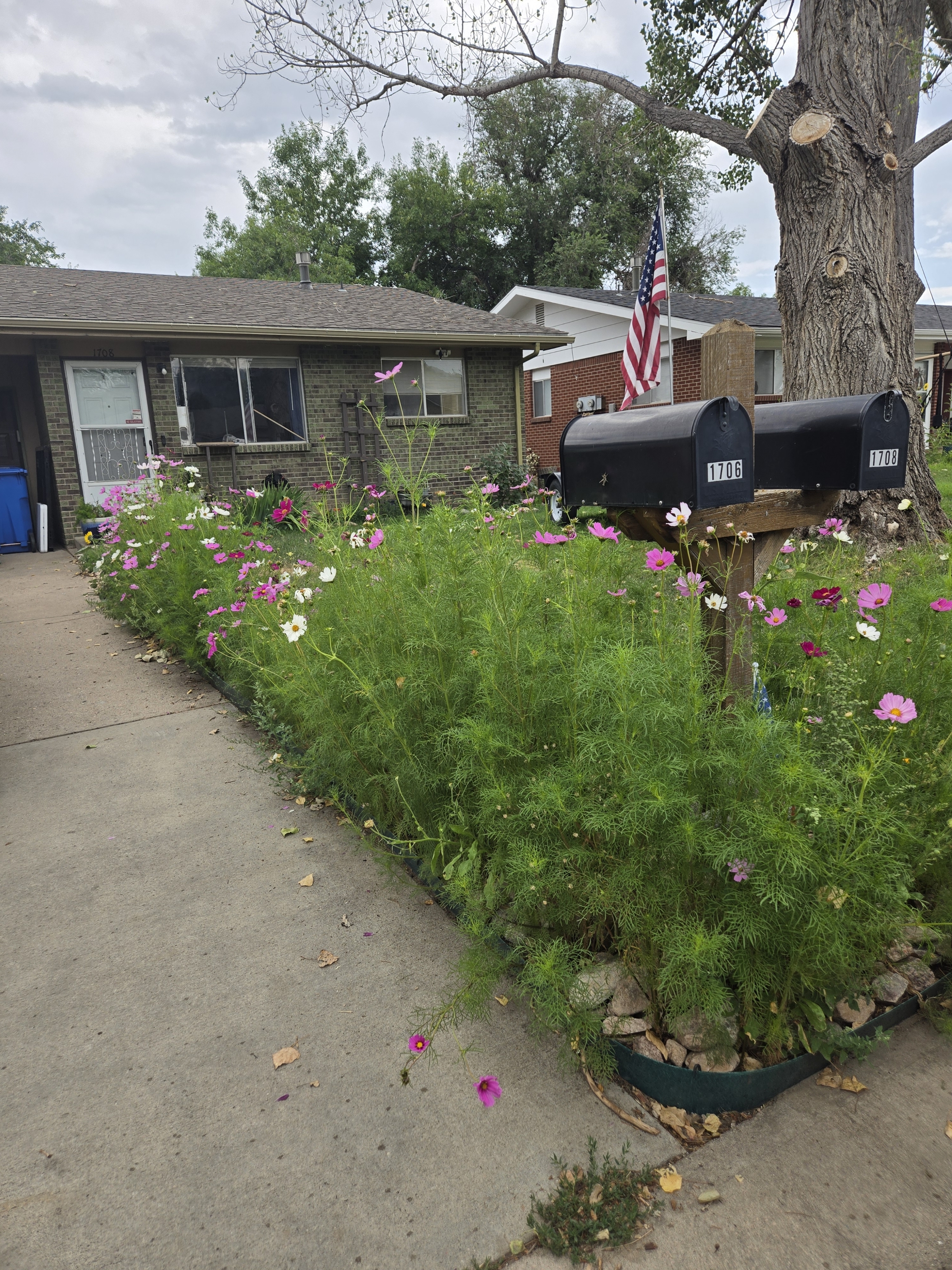 1708 Larch Street - 1